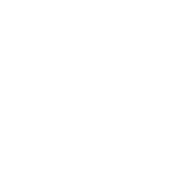 INRAISE Logo
